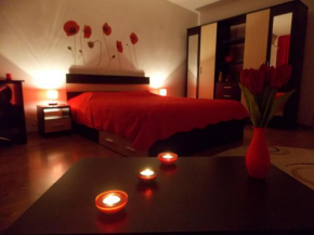 Studio Lujerului Bucuresti